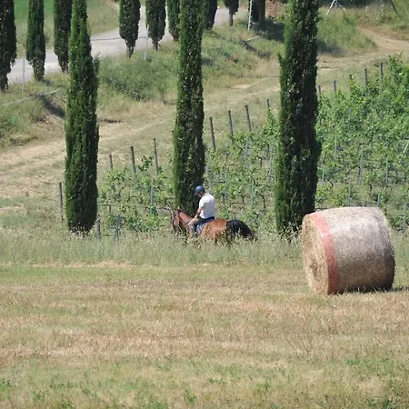 Tenuta Casabianca * Murlo