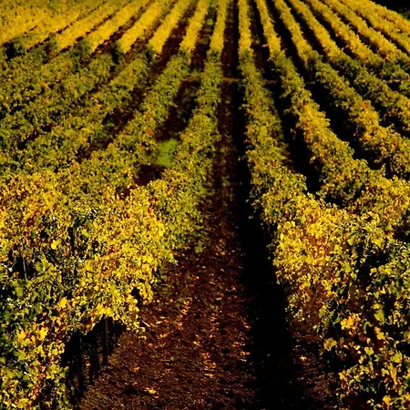 Alloggio per agriturismo Tenuta Casabianca