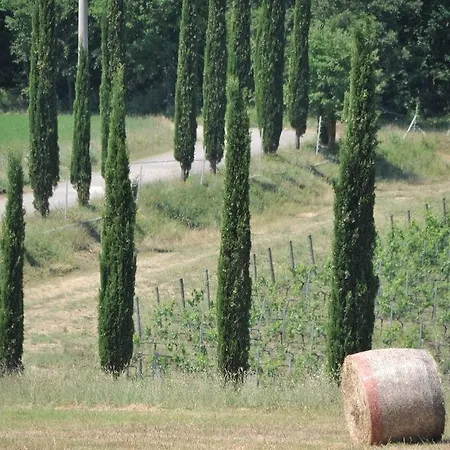 Tenuta Casabianca *