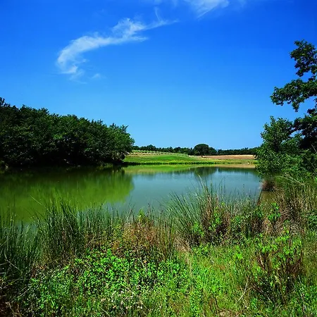 Alloggio per agriturismo Tenuta Casabianca
