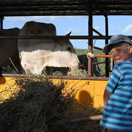 Farma Tenuta Casabianca Murlo